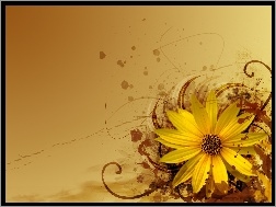 Słonecznik, Kwiat, Tekstury